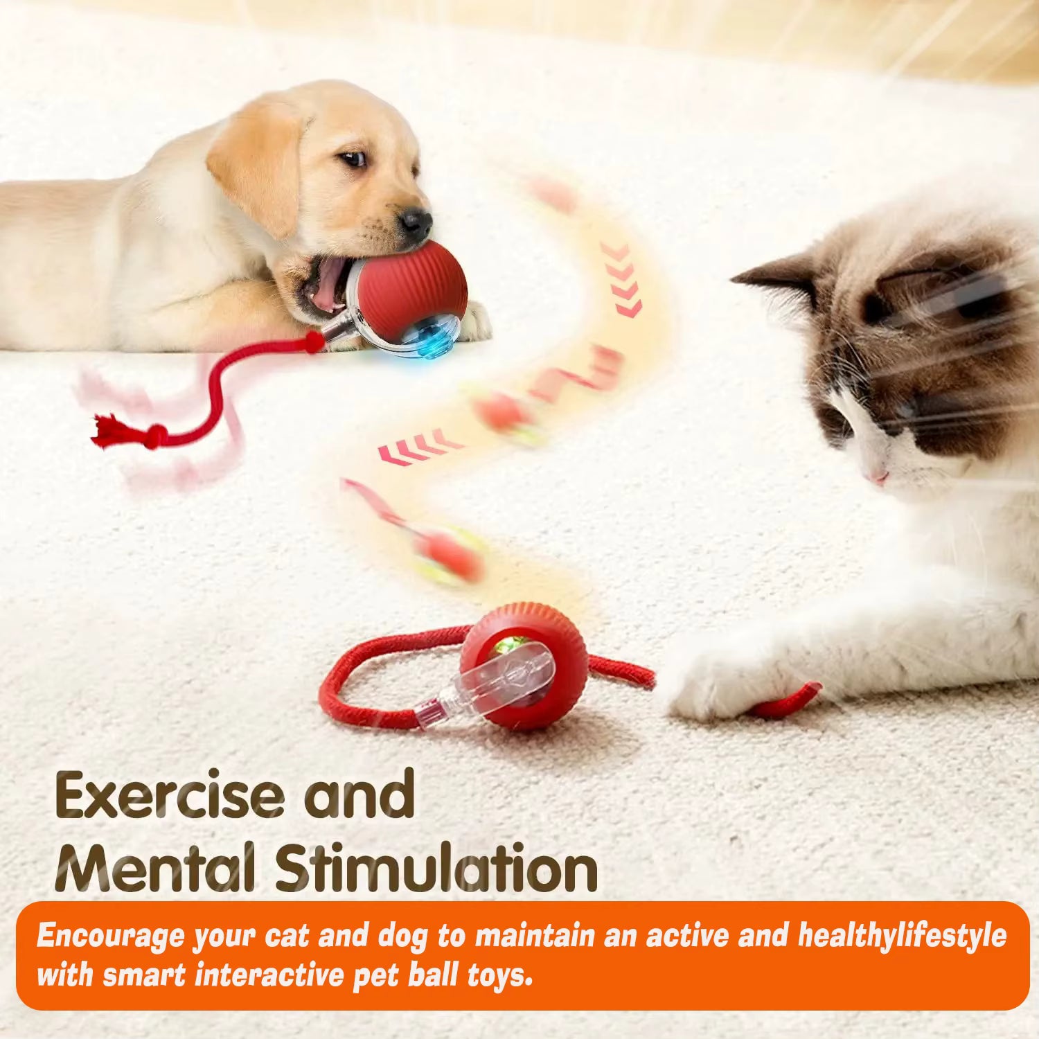 PlayPro Auto Rolling Smart Pet Ball