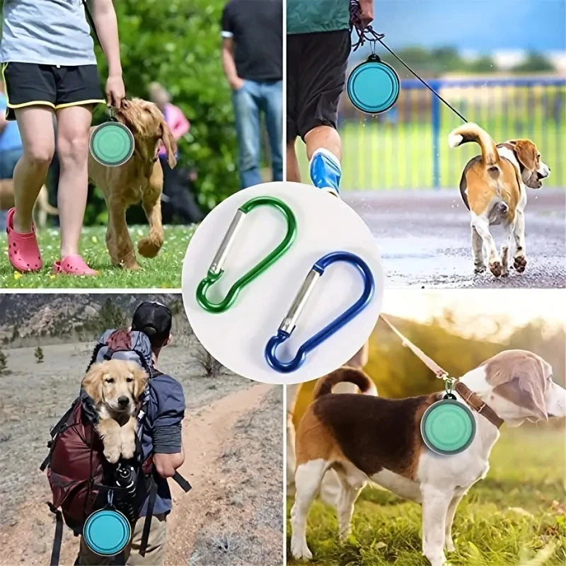 Collapsible Smart Travel Pet Bowl