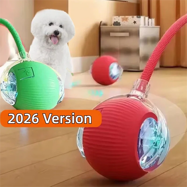 PlayPro Auto Rolling Pet Ball