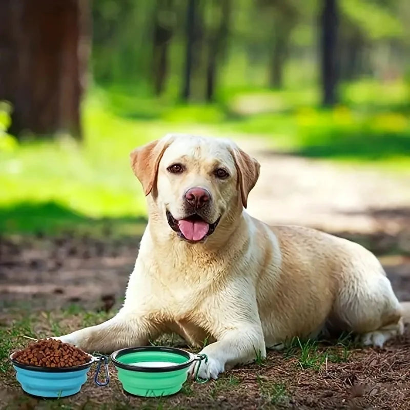 Collapsible Smart Travel Pet Bowl